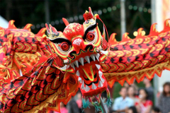 Dragon-Nouvel-An-chinois